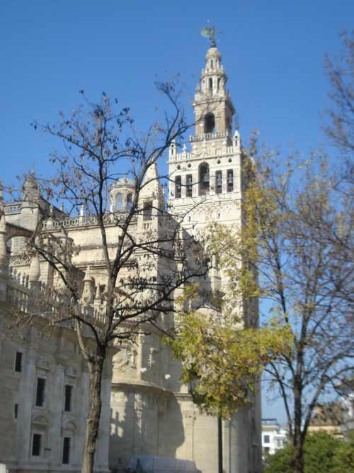 General view of the cathedral and the Giralda of Seville