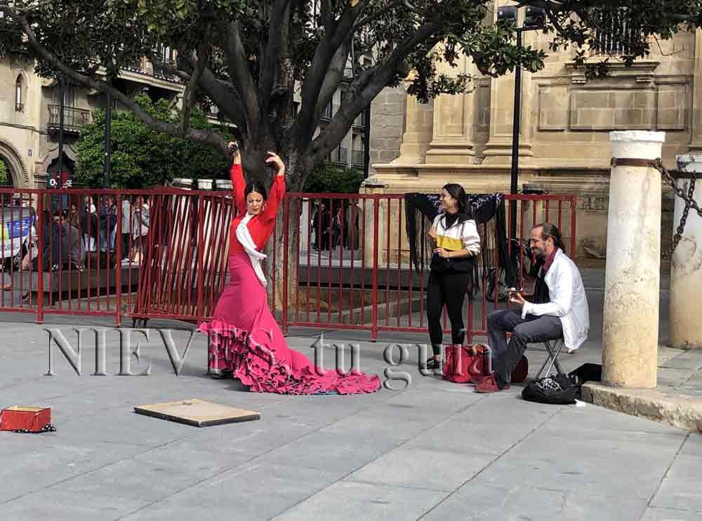Flamenco dancing in Seville